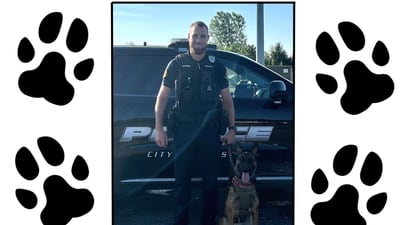 Sniffing out crime