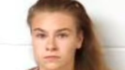 Sex offender to serve up to 10 years 