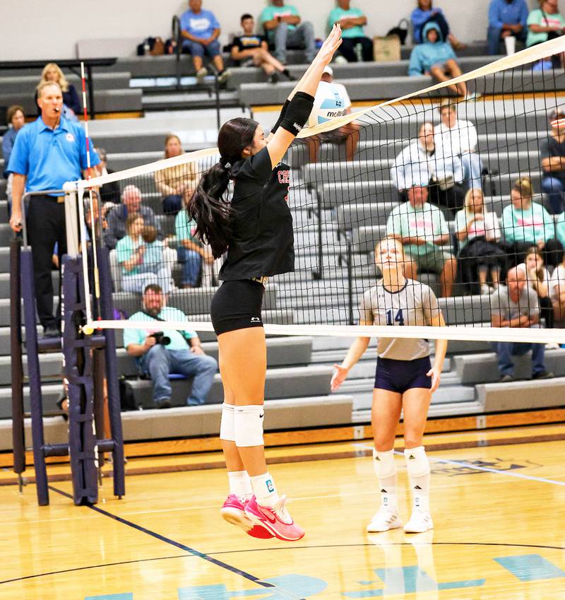 Creston's Braylee Pokorny blocks a shot Tuesday against Lewis Central. The Panthers fell in four to the Titans but defeated Atlantic.