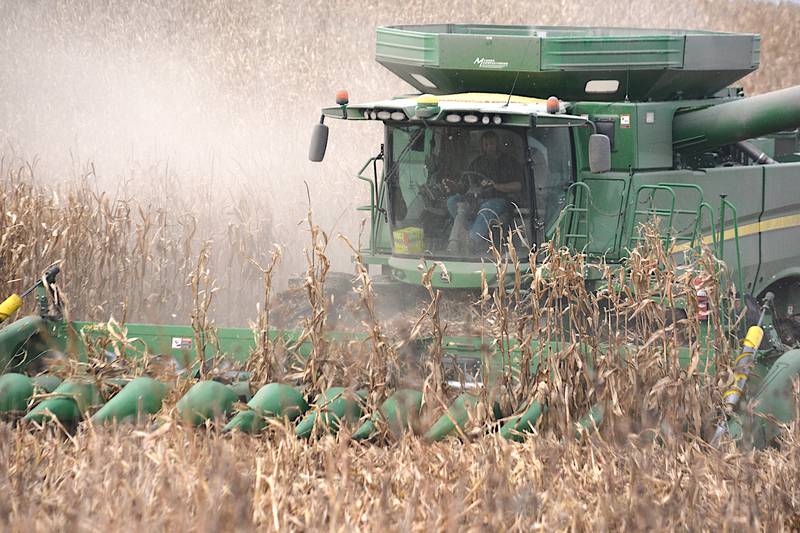 David Schwartz, who farms with his father Lance as L&D Schwartz Farms, LLC, combines in a corn field northwest of Greenfield on Friday. The Schwartzes, who have planted a cover crop of rye on this ground, say the corn crop this year has performed extremely well.