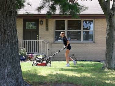 Nuisance lawns may be flagged by the city