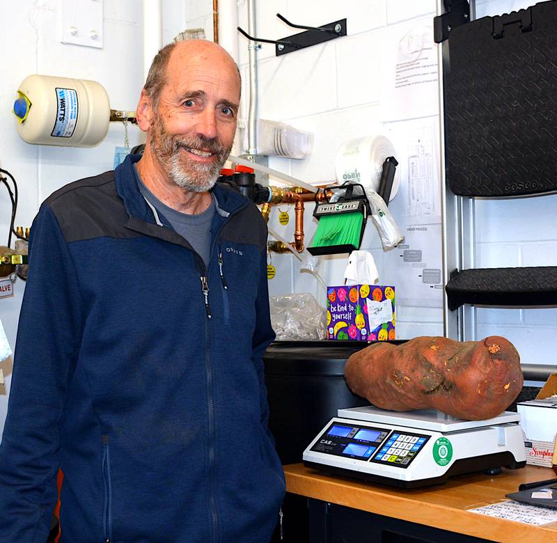 Bill Piper with his 12.77-Ib. sweet potato recently harvested from his garden.