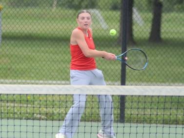 Panther girls fall in semifinals