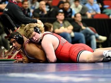 Stiff competition derails Panthers at state