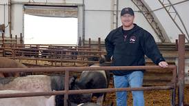 The best of both worlds