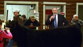 PROGRESS: No two cows, or people, are the same