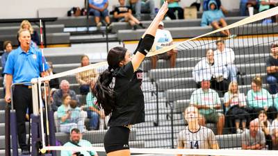 Panthers split H10 triangular