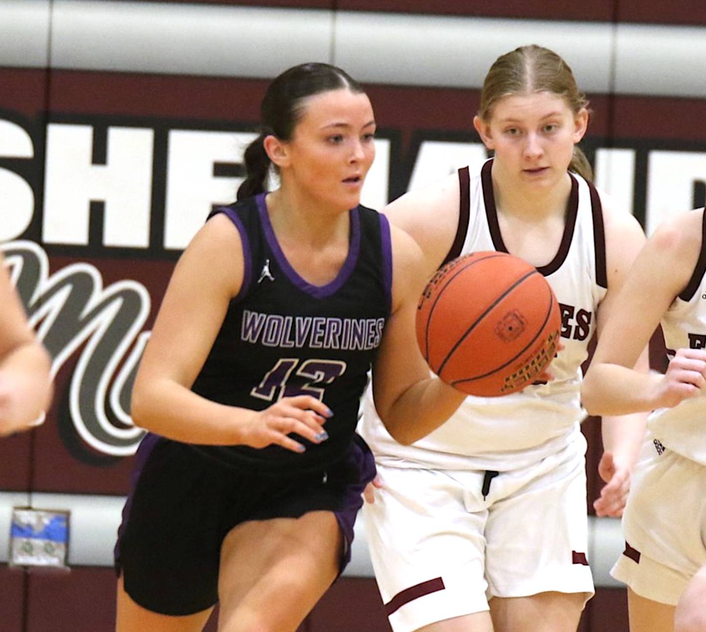 Wolverine senior Liv Laughery was named all-state academic by the Iowa Girls Coaches Association recently, leading the way for her team that was strong on the court and in the classroom.