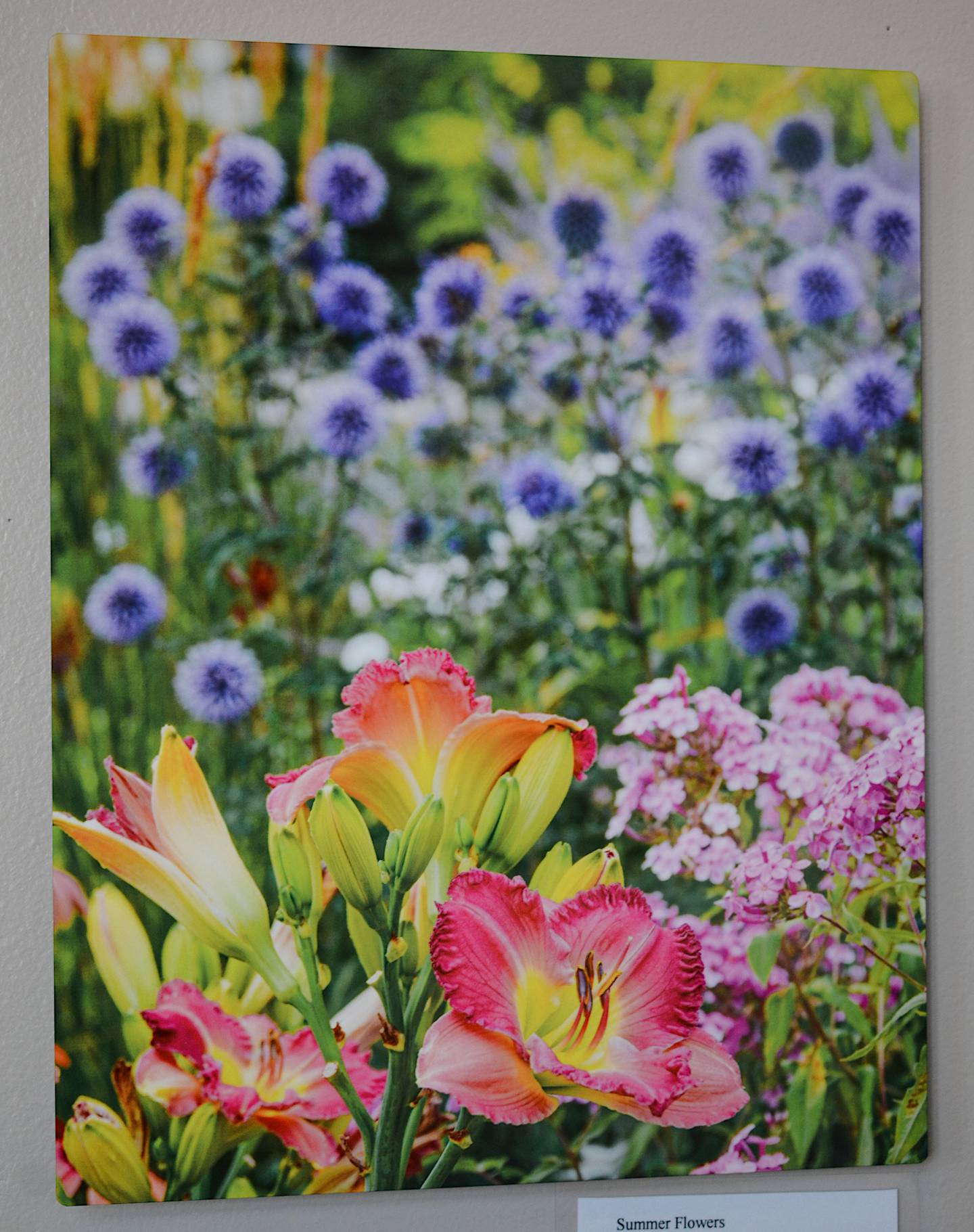 "Summer Flowers," depicting a garden of colorful, blooming flowers. Taken by Kathleen Hoard at Enabling Garden, Polk County.