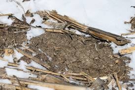 Farmers prepare for dry planting season