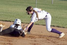 Wolverines edged by Lenox, limit strikeouts against No. 1 Falcons