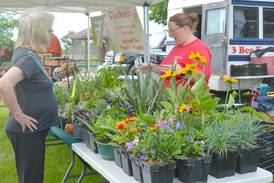 Farmers Market returns in June for 13th year