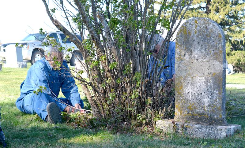 Two Afton volunteers help remove an overgrown shrub. This type of specialized maintenance was common during the community cleanup day.
