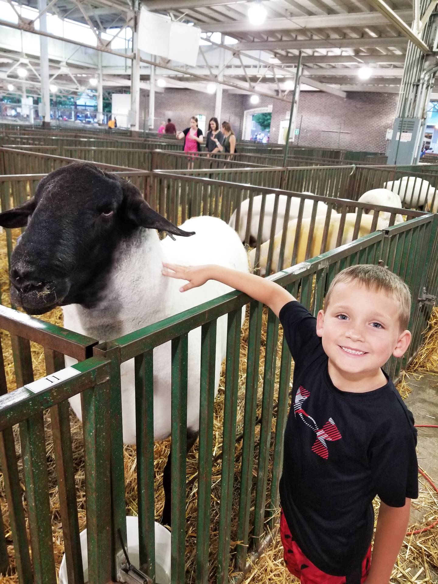 Tessa's son pets a sheep in the animal exhibits at the Iowa State Fair.