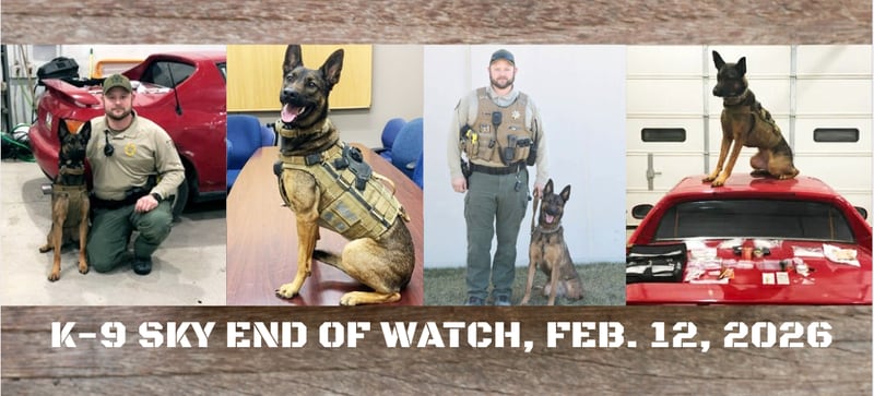 Clarke County K-9 Sky passed after a sudden illness last week.