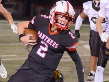No. 9-ranked Lions host Panthers