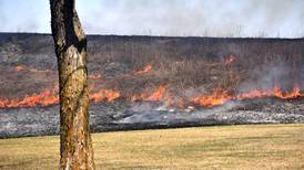 Grassfire burns along Townline