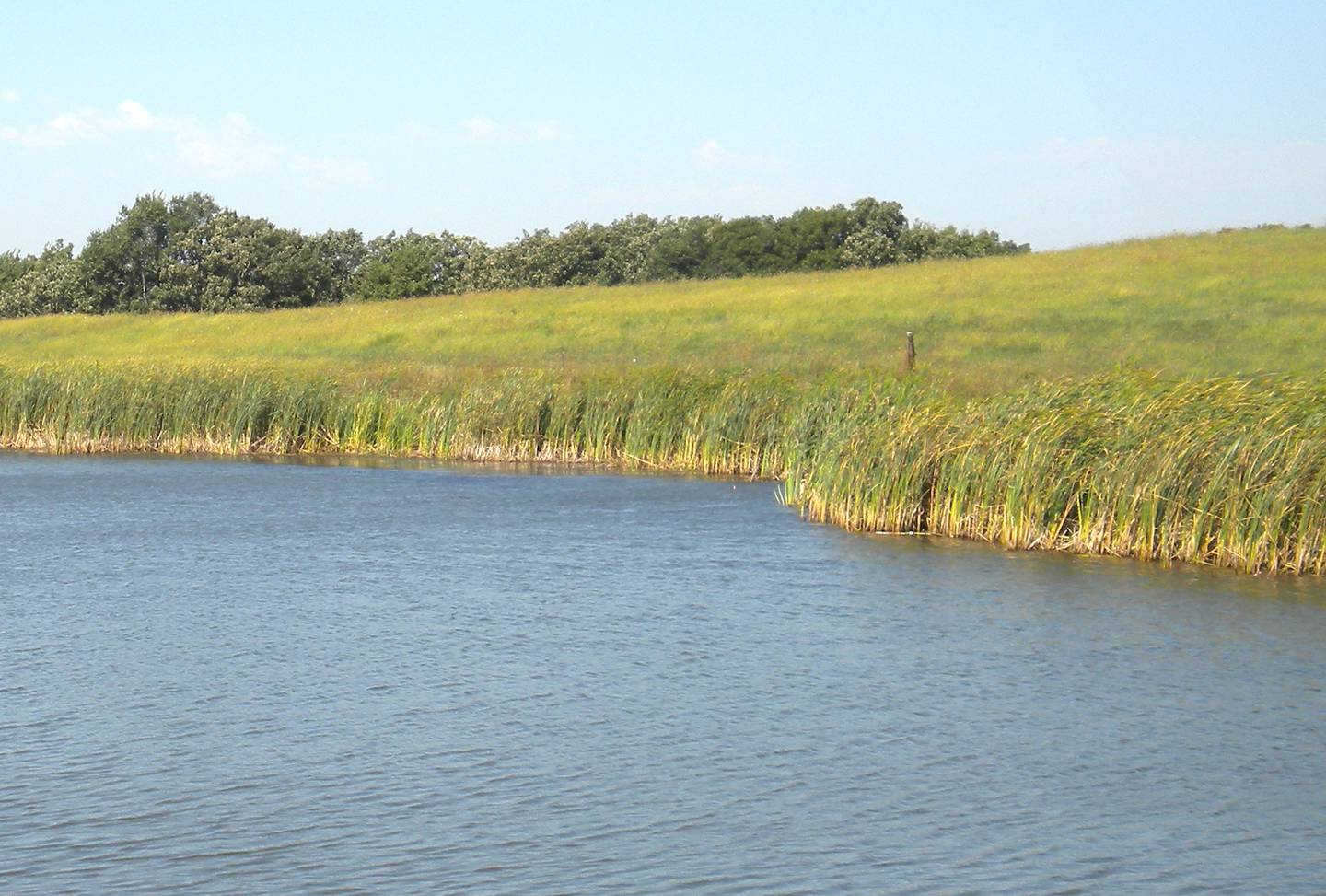 Grass seed and buffer strips can help protect waterways from farm chemicals.