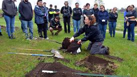 181 trees planted in one morning at the new lake