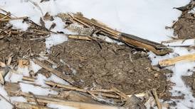 Farmers prepare for dry planting season