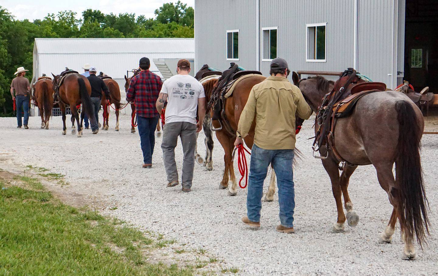 Based in Stillwell, Kansas, War Horses for Veterans is an equine-based therapy program for PTSD veterans and first responders.