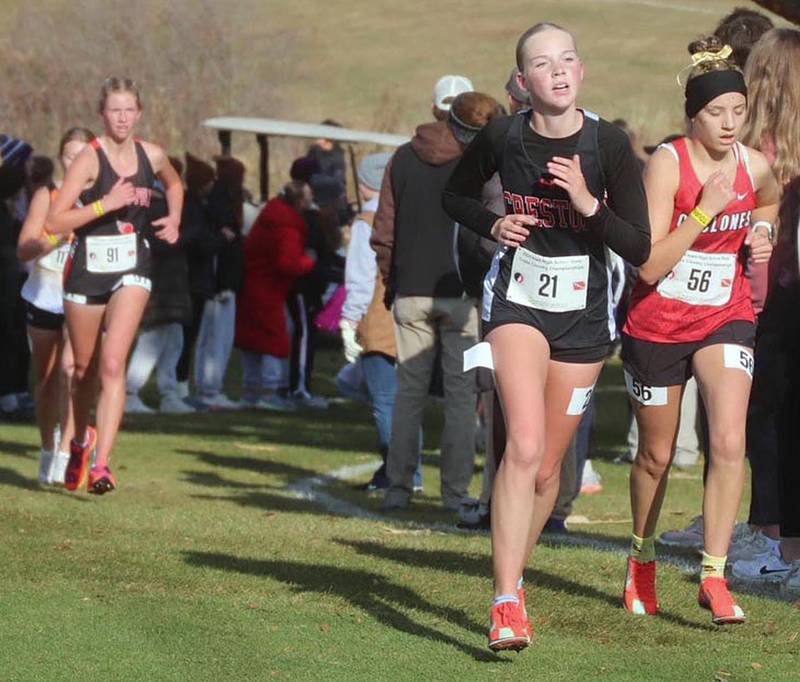 Reese Strunk of Creston runs alongside Harlan's Aspen Bieker up a hill at Lakeside Golf Course during Friday's state cross country meet. Bieker finished 100th in 21:11.7 and Strunk was 102nd in 21:19.5.