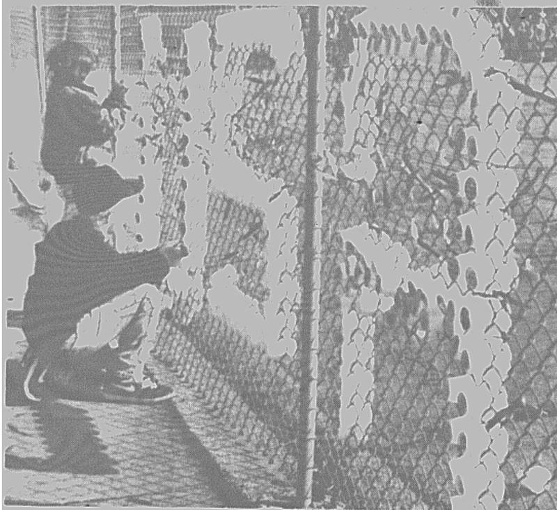 Lincoln Elementary students participated in Patriotic Day Friday by wearing red, white and blue colors and displaying a handmade USA sign on the playground fence. Lela Keeler and Matt McNickols are shown tying on ribbons Friday afternoon.