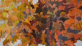Finding meaning from thousands of pieces