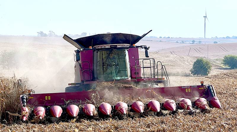 Adair County farmer Doug Holliday picks corn southeast of Greenfield recently.